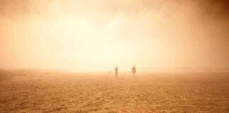 Two silhouetted figures walking in a hazy desert landscape