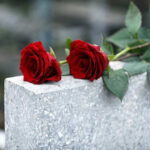 Two red roses on a gray stone.
