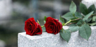 Two red roses on a gray stone.
