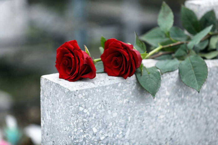 Two red roses on a gray stone.
