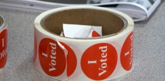 Hubbard Co. Election Judge Pleads Guilty To Allowing